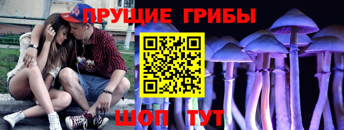 Псилоцибиновые грибы Psilocybine cubensis  Вход с VPN  Россия 