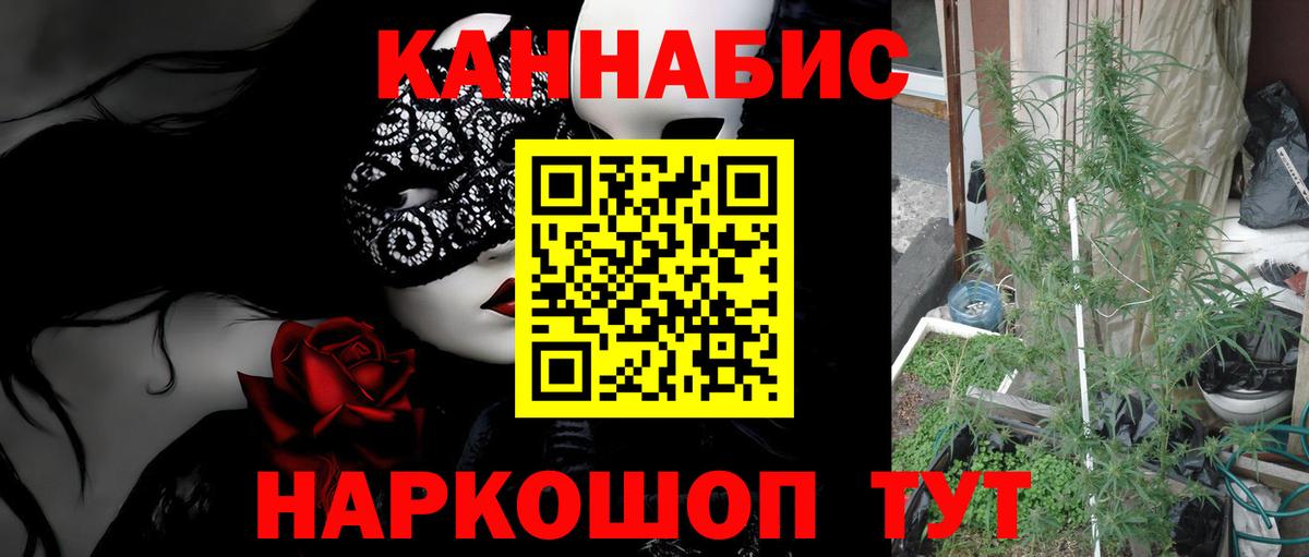 Бошки Шишки конопля Россия